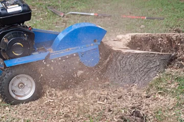 stump grinding & removal services